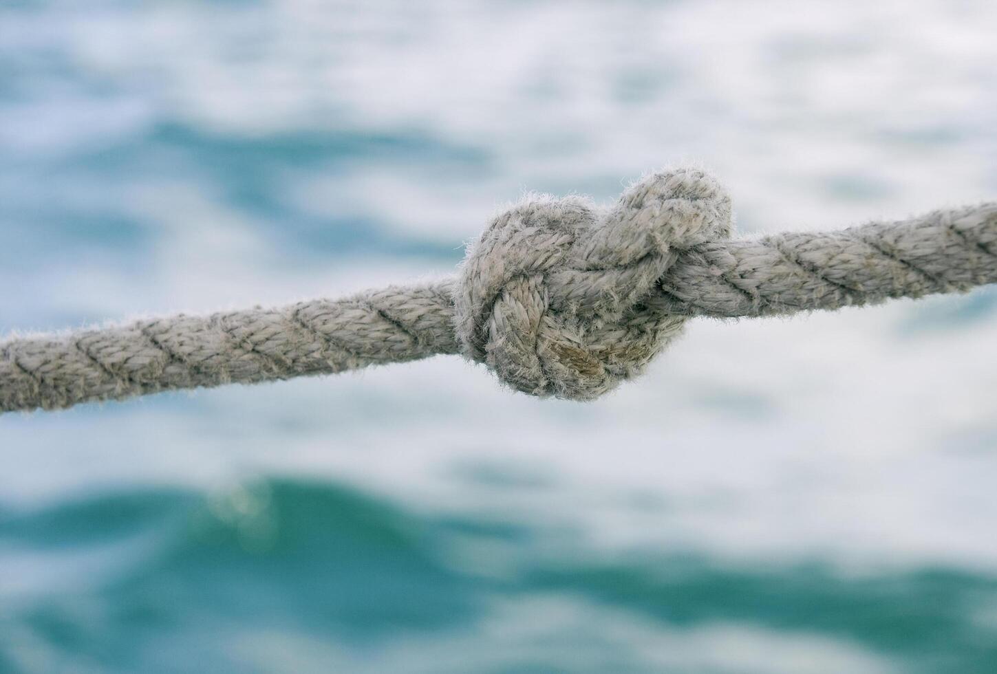 Knot on a rope 2 photo
