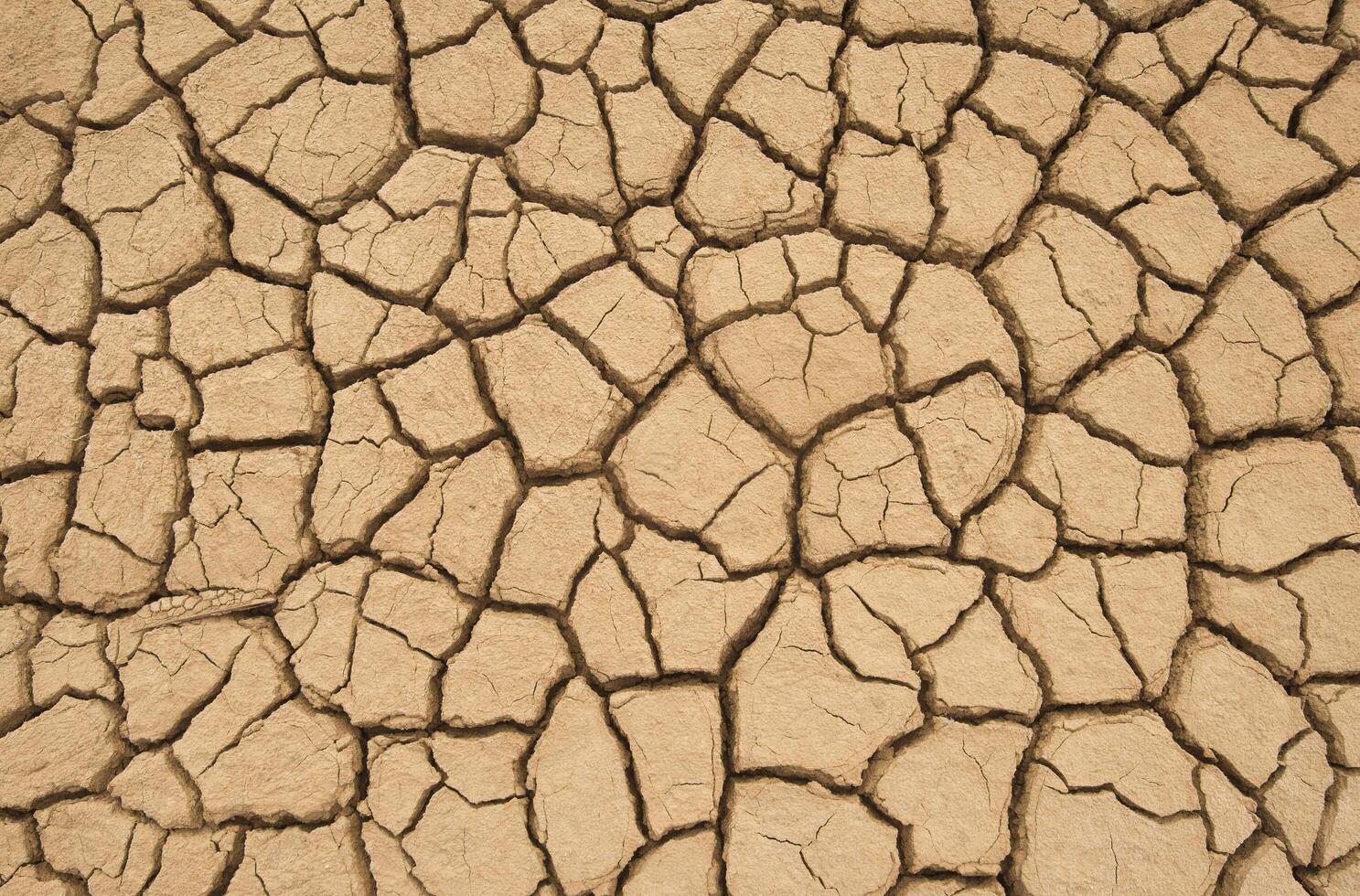 Cracked earth, backgound photo