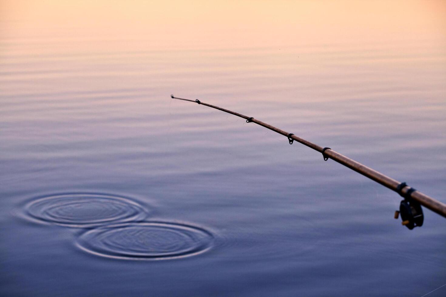 Fishing in a sunset photo