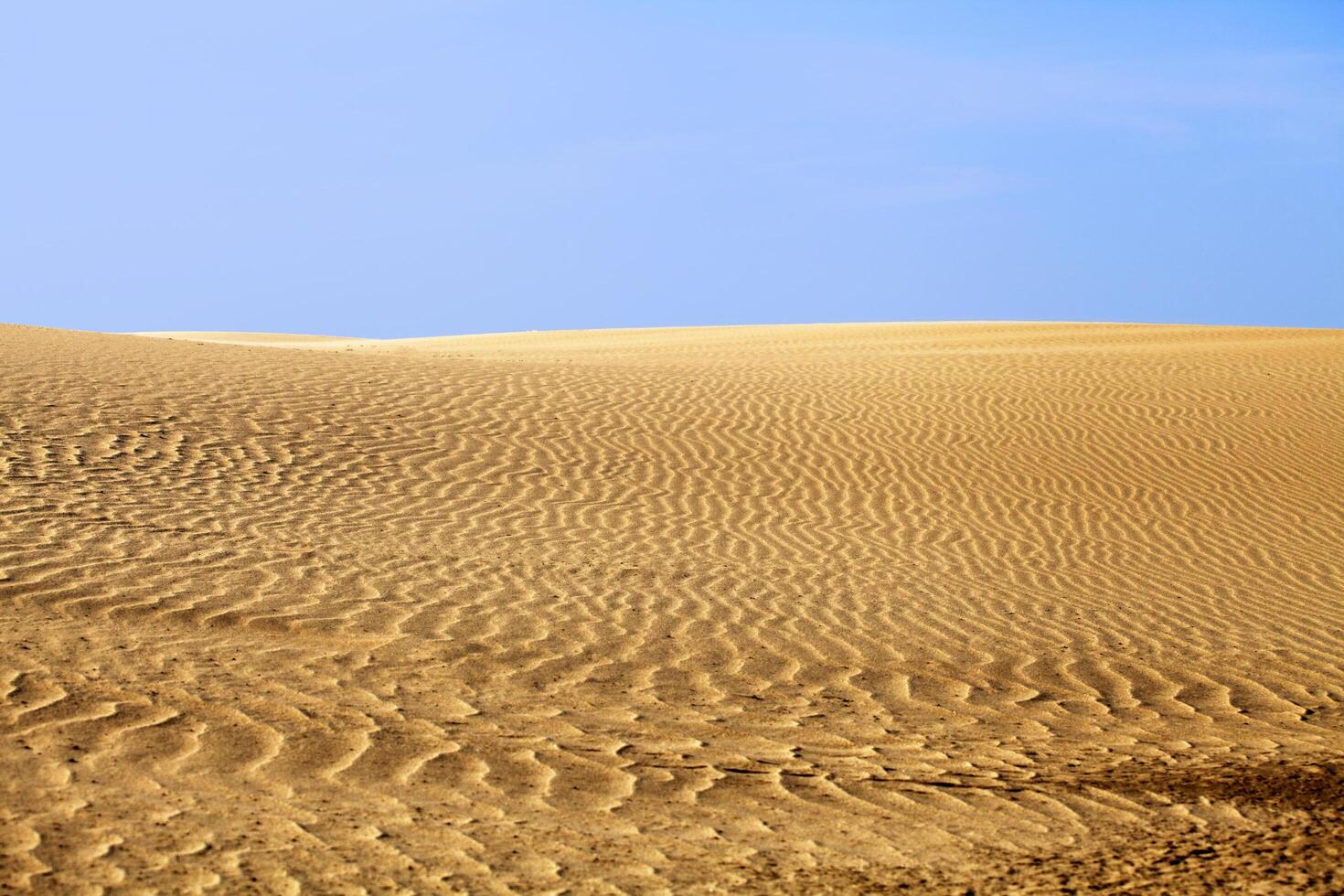 Desert dune on a sunny day photo