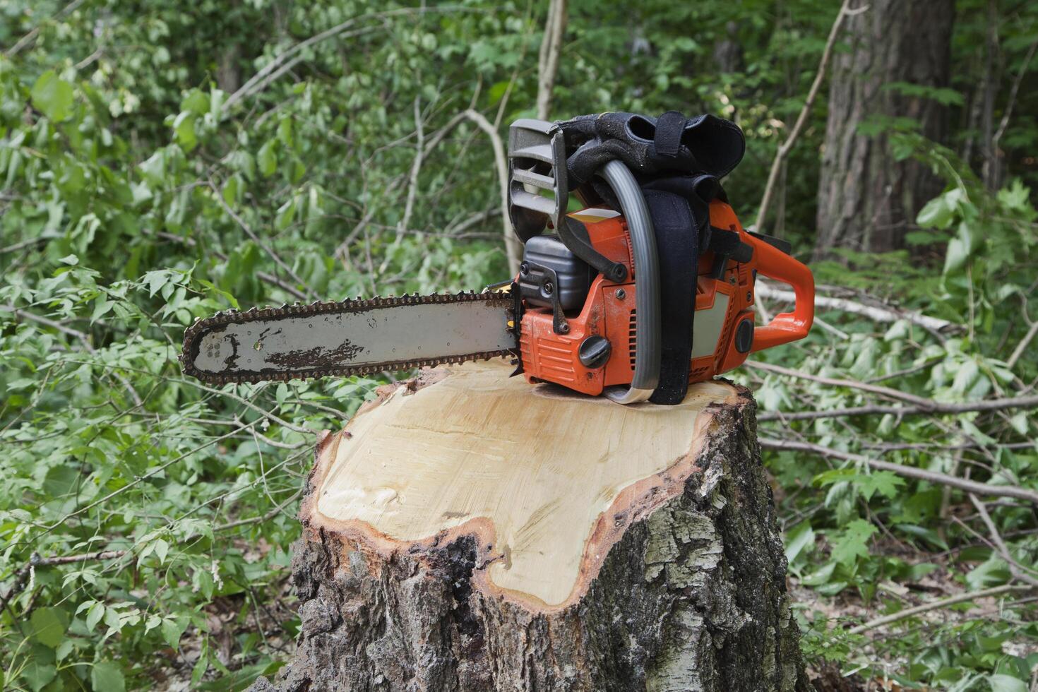 Chainsaw standing on a stump photo