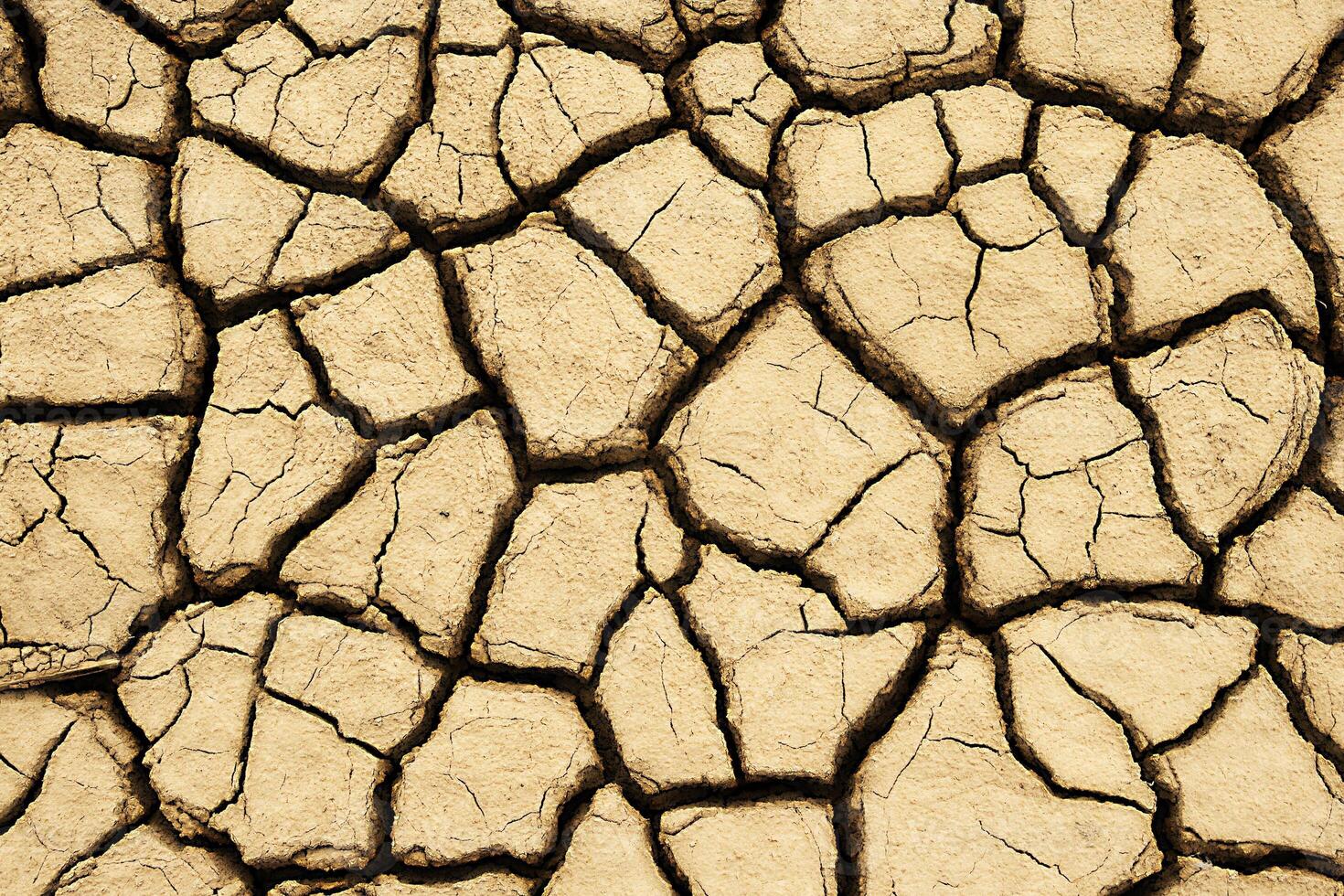 Cracked earth high angle view photo