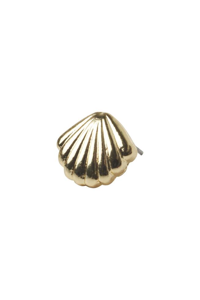 Isolated shiny golden seashell decorative stud earring on white background photo