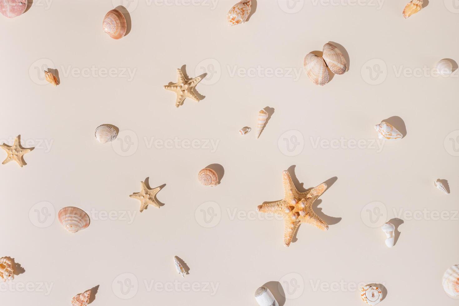 Seashells and starfish with hard shadows on beige background. Summer concept. Nautical pattern pastel colored. Aesthetic trend layout shells, sea stars, minimal style creative composition photo