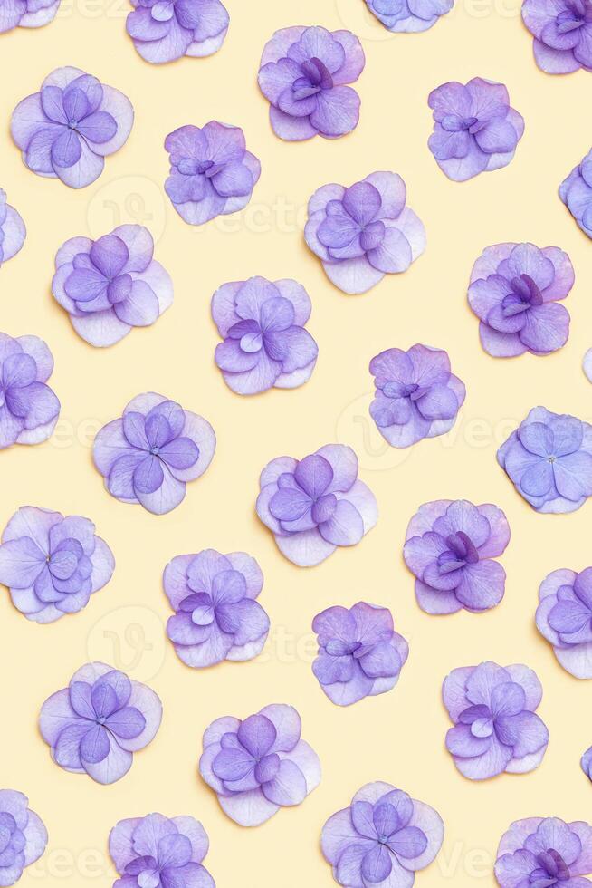 Minimal floral pattern with fresh Hydrangea violet flower, Very Peri color of year. Holiday layout with plain flowers for Mothers day, 8 March, Womens day. Flat lay flowery composition. photo
