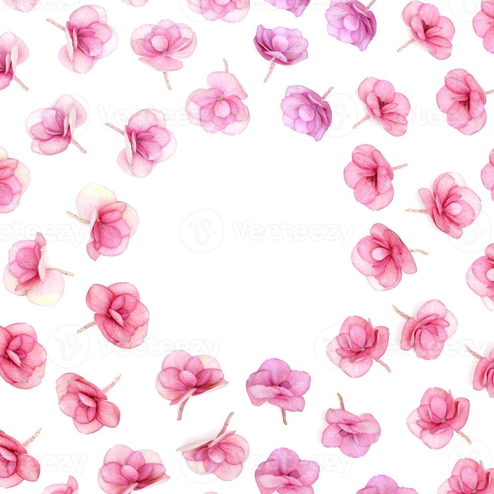 Floral round frame from fresh Hydrangea flower pink color. Holiday card or invitations for Mothers day, 8 March, Womens day with small blossoms and copy space. Flowery spring or summer design photo