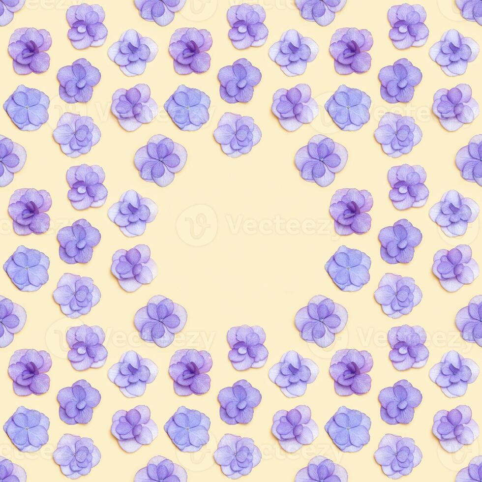 Minimal floral frame with small fresh Hydrangea violet flower, Very Peri color of year. Holiday layout with blooms for Mothers day, 8 March, Womens day. Top view, flat lay flowery fon photo