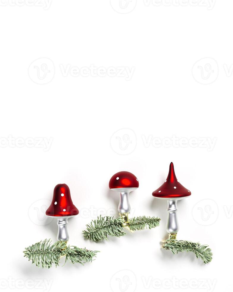 Christmas botanical ornaments fly agaric mushrooms with red cap and white dots, on natural green christmas fir tree branches on white background with copy space. Holiday winter decor photo