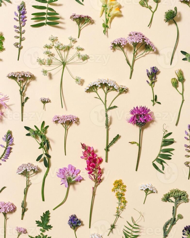 Varied forest grass and meadow flowers as stylish botanical background Flat lay flowery pattern photo