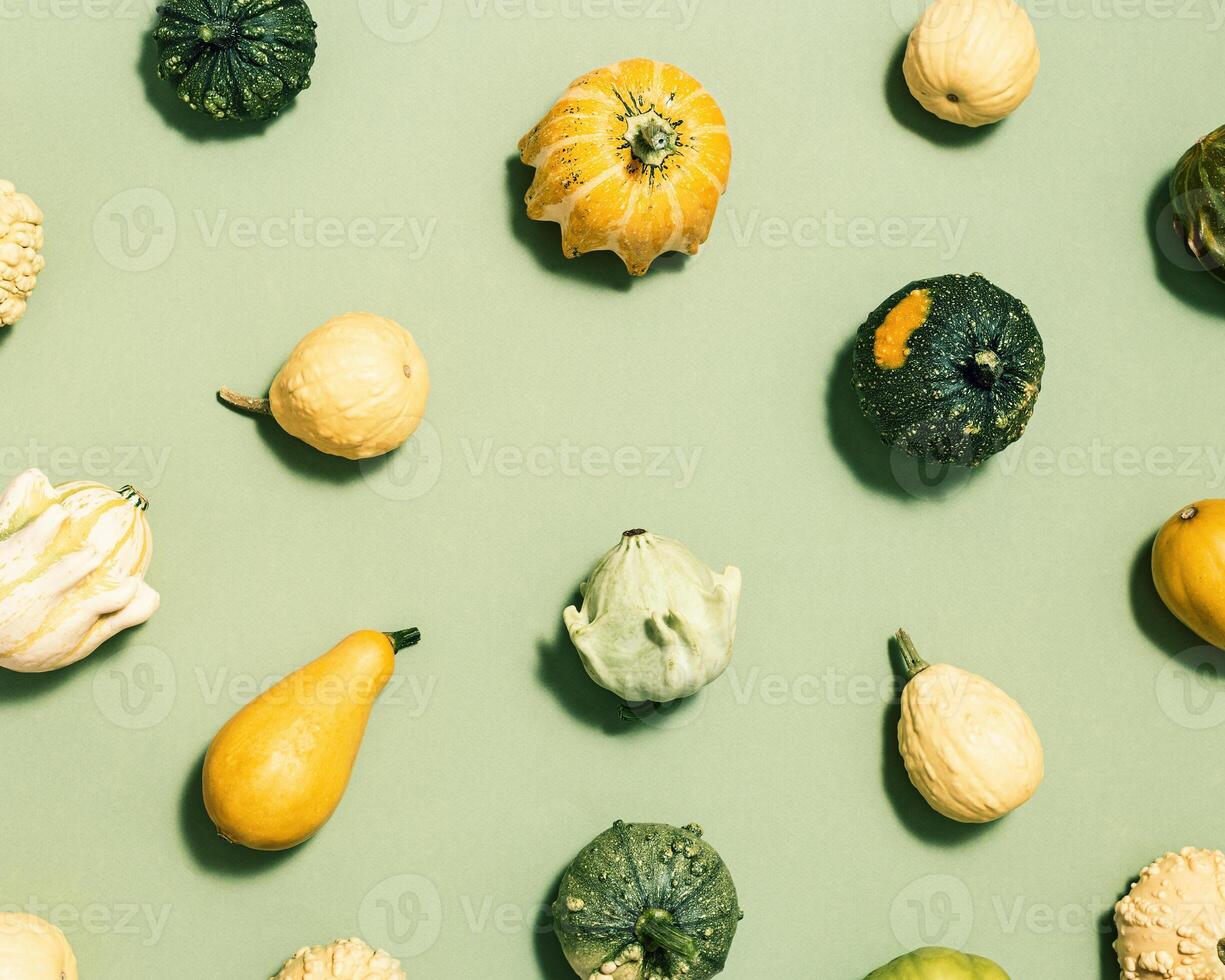 Pumpkin, gourd, squash of different shapes and colors top view on green paper. Autumn flat lay photo