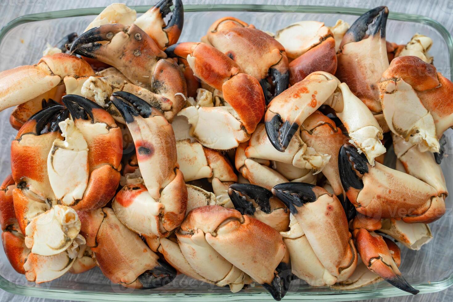 Stone crab claws. Colossal Crab claws served. Classic appetizer or entree, boiled Crab claws, seafood photo
