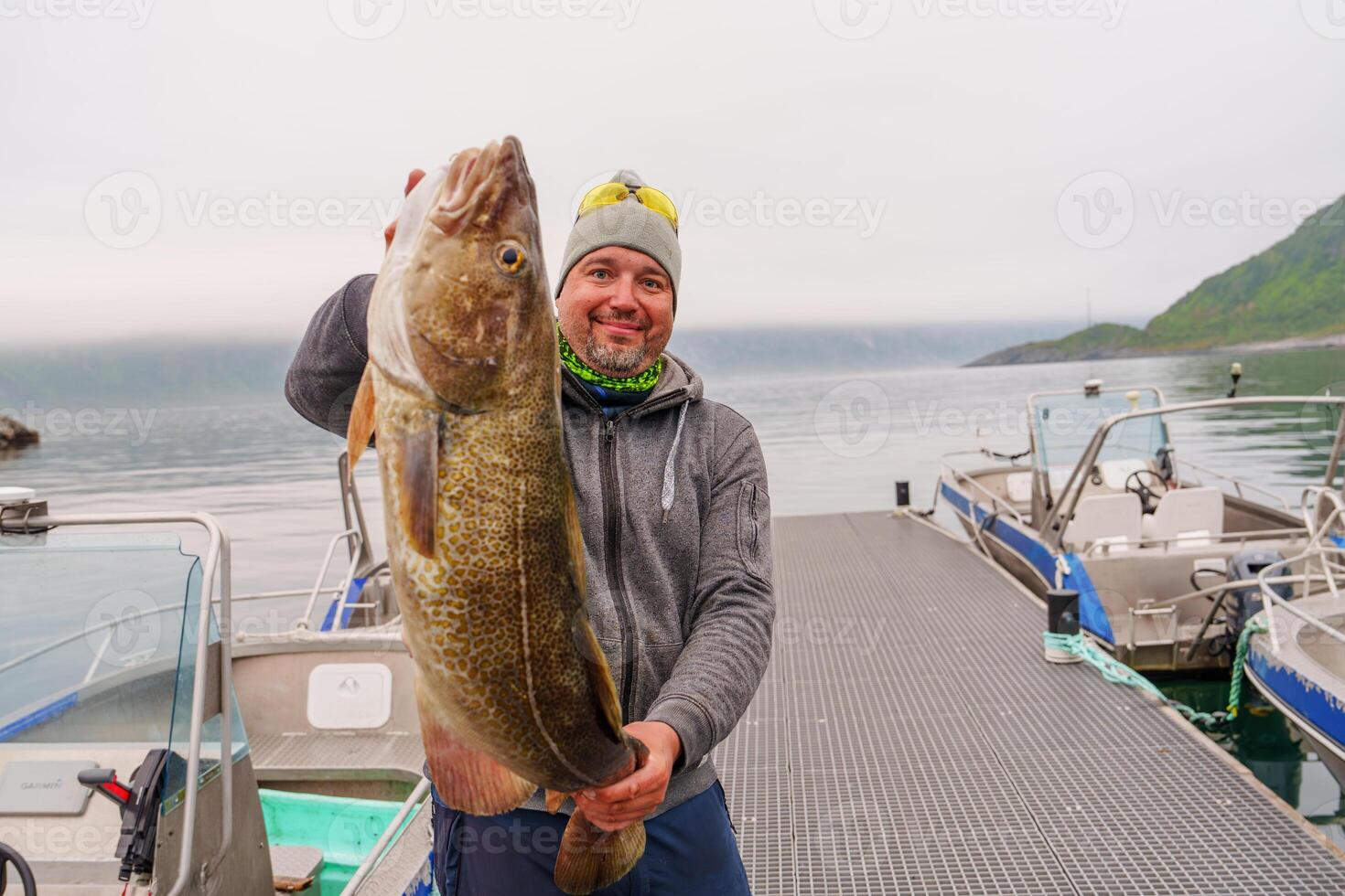 Fisherman with big cod fish. A Norwegian fisherman has caught a large Cod fish in Norwegian Fjord islands photo