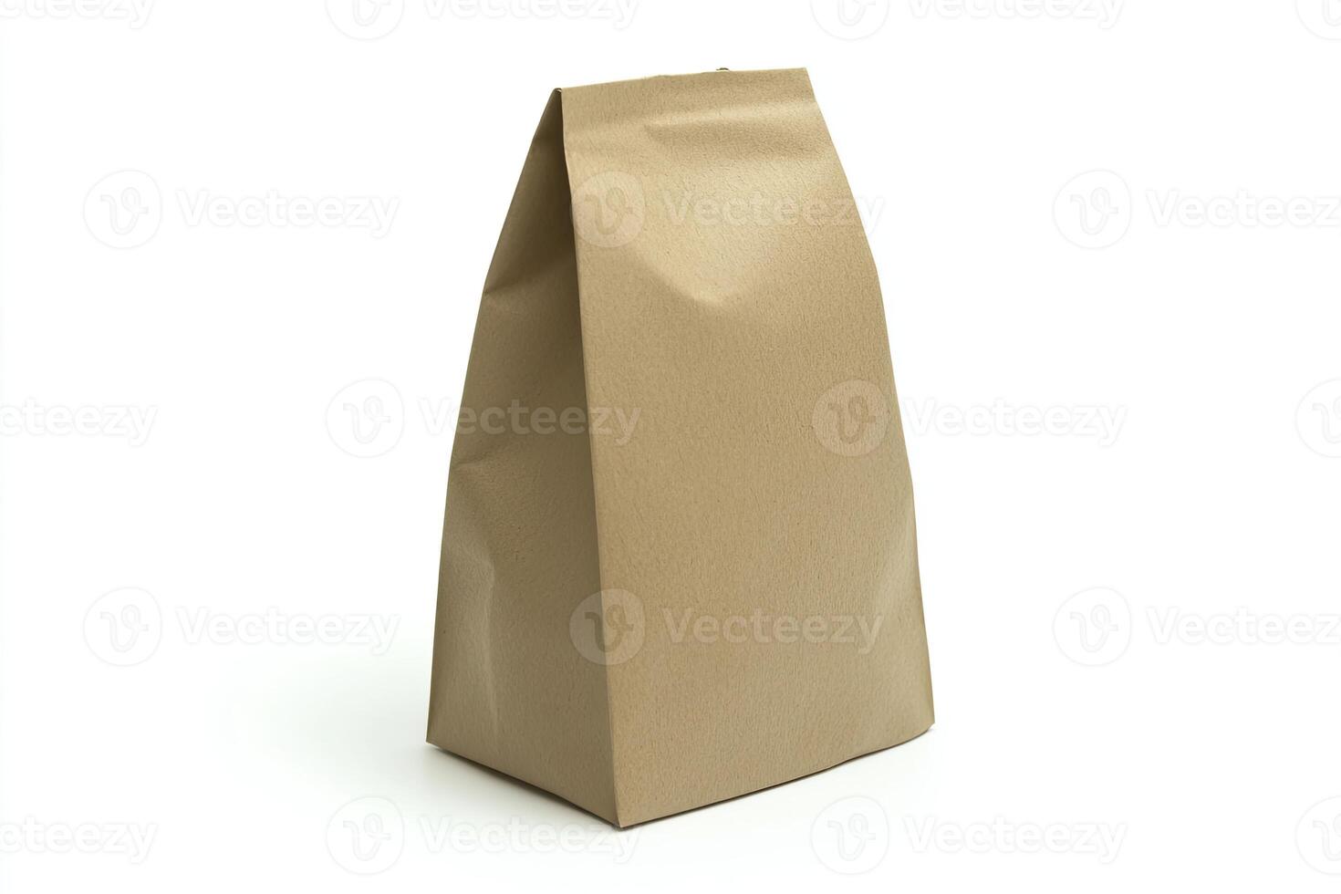Brown paper lunch bag photo