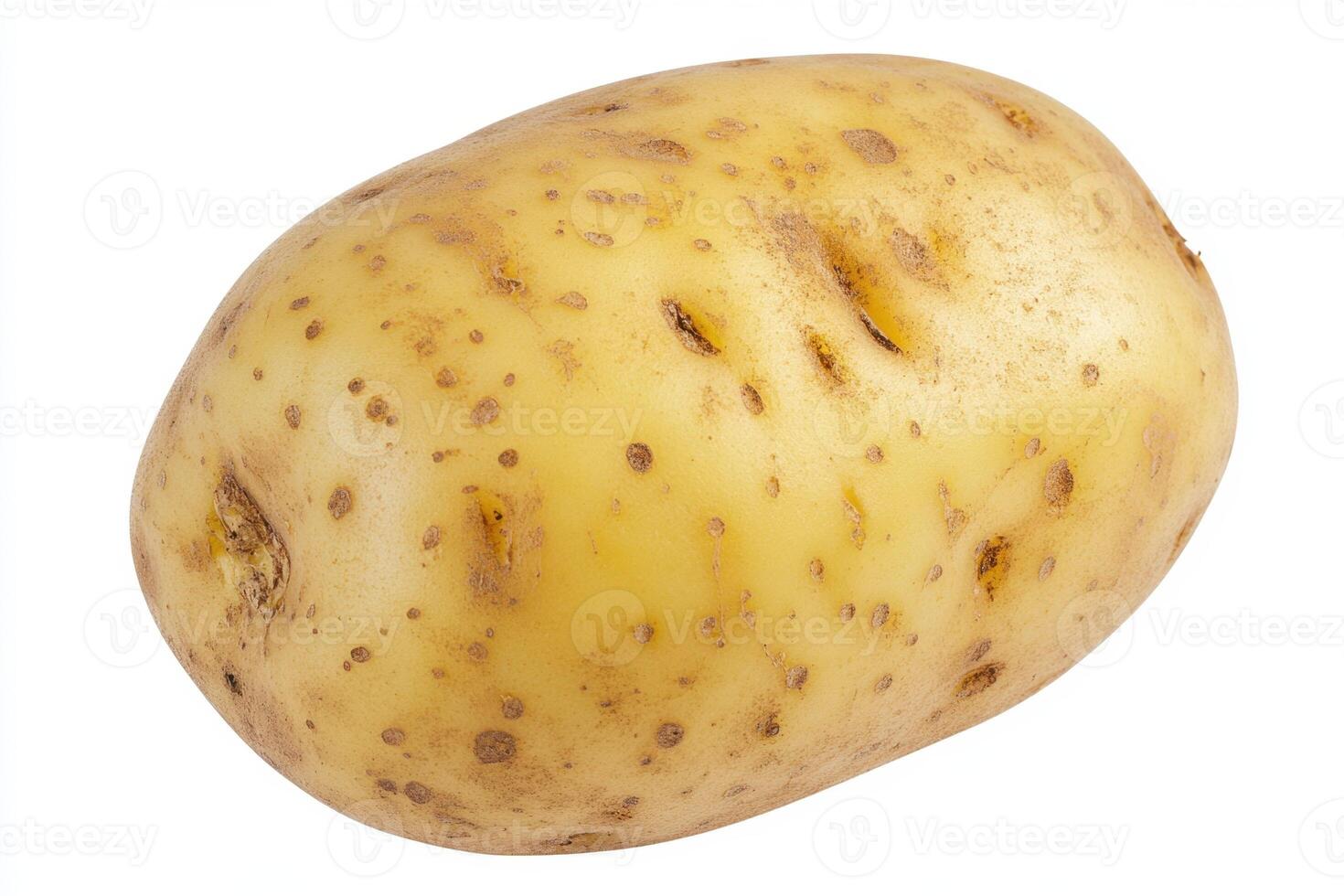 a potato is shown on a white background photo