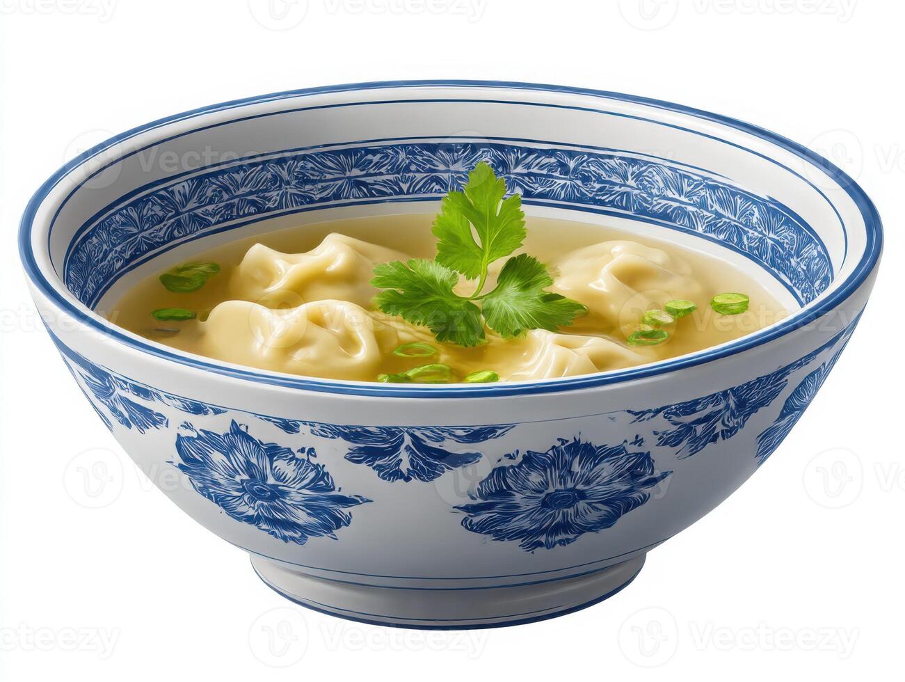 A bowl of soup with dumplings in it photo