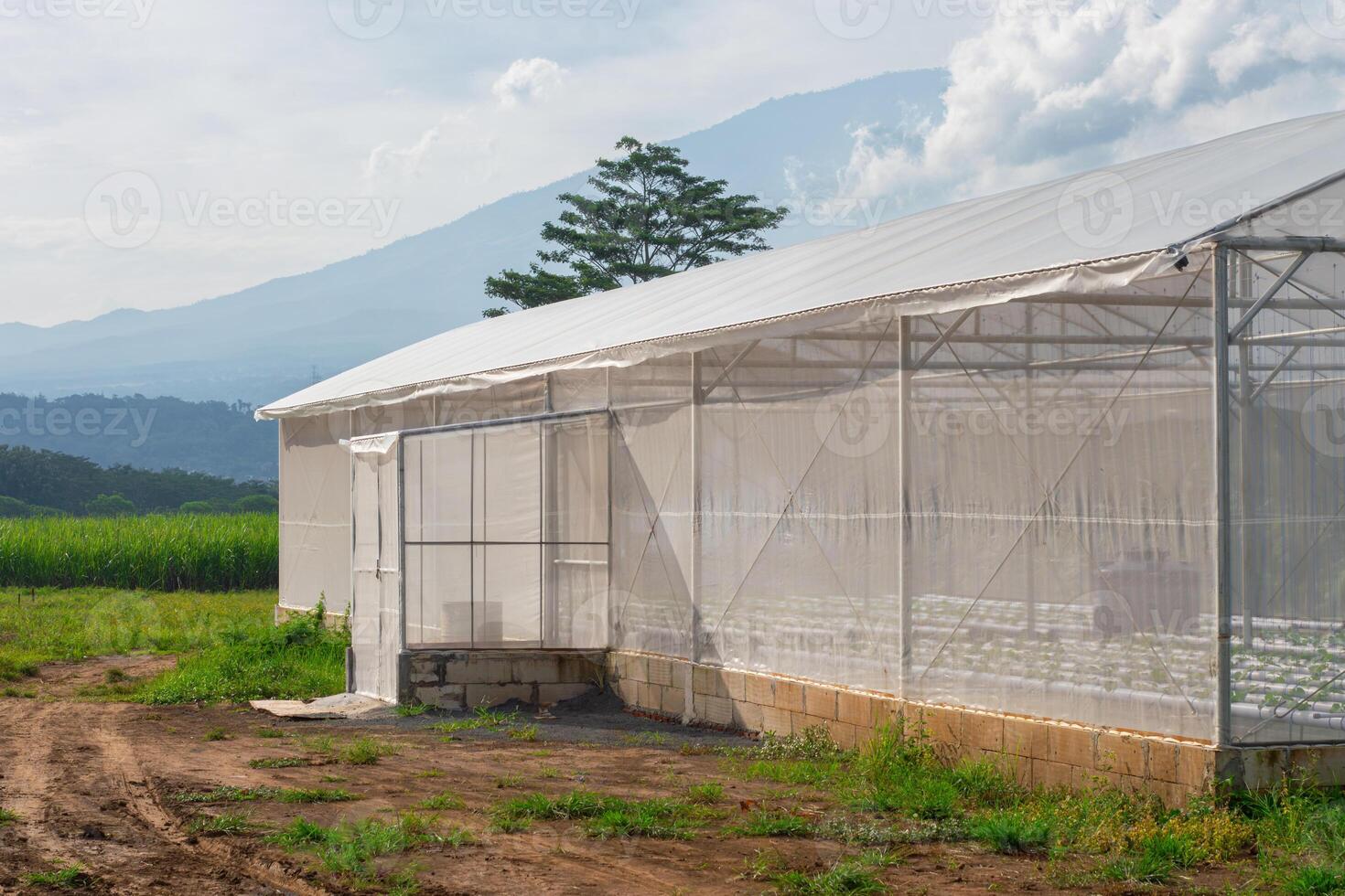 A UV plastic greenhouse for modern agriculture, set against the backdrop of Mount Arjuna perfect for hydroponic farming, plantations, agribusiness, and eco-friendly concepts photo
