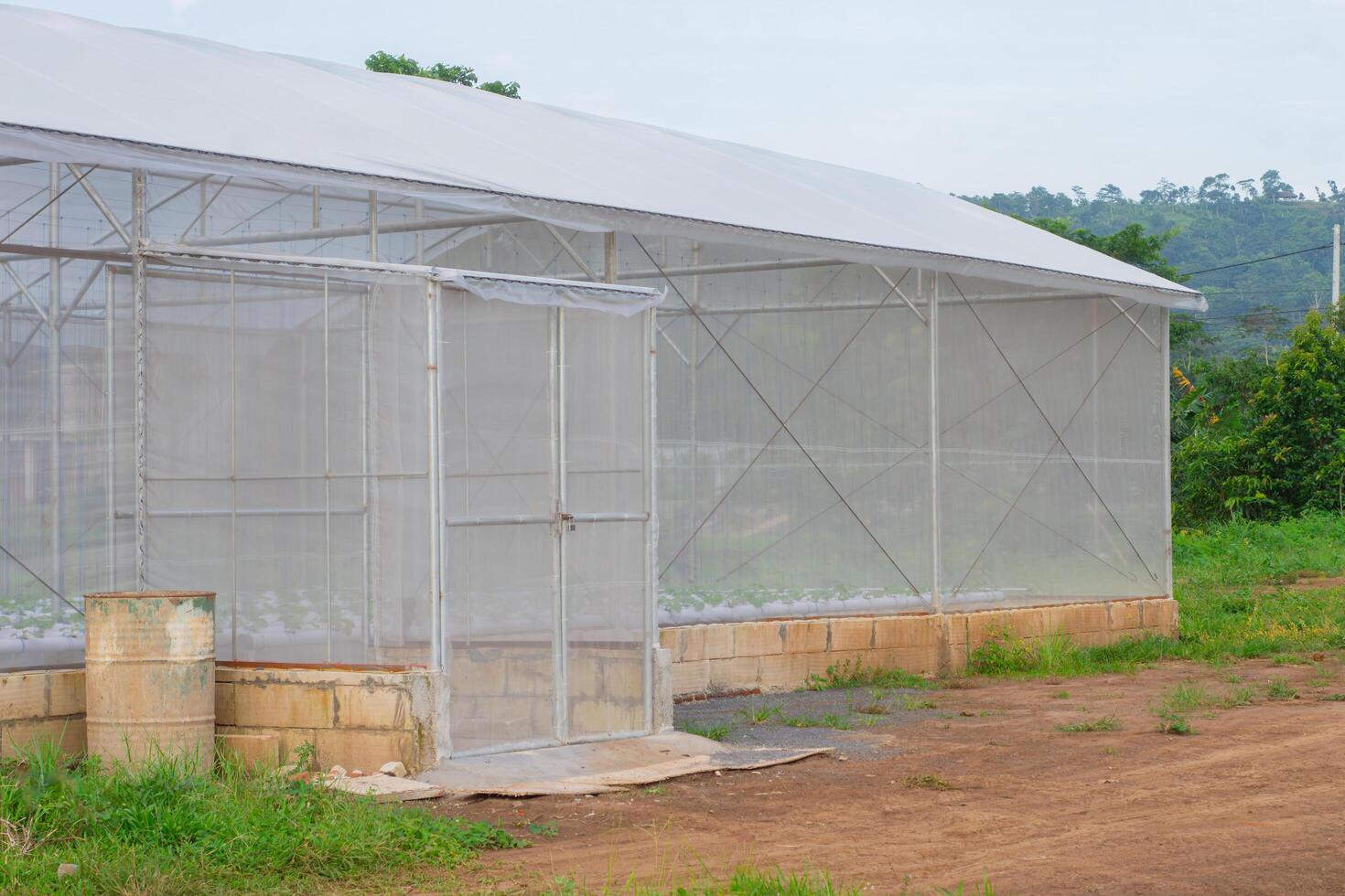 A UV-protected plastic greenhouse stands against the backdrop of Mount Arjuna, ideal for hydroponic farming, plantations, agribusiness, and green environment initiatives. photo