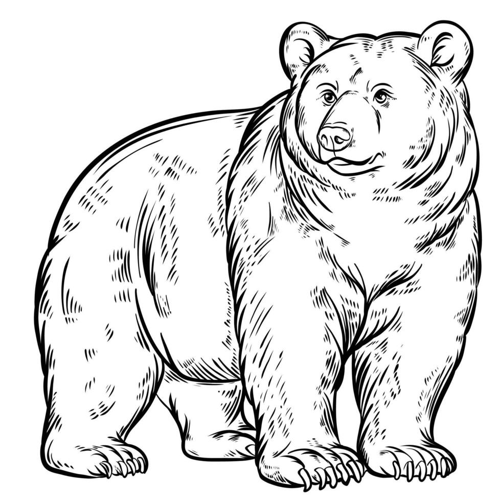 Black line art sketch of bear animal vector