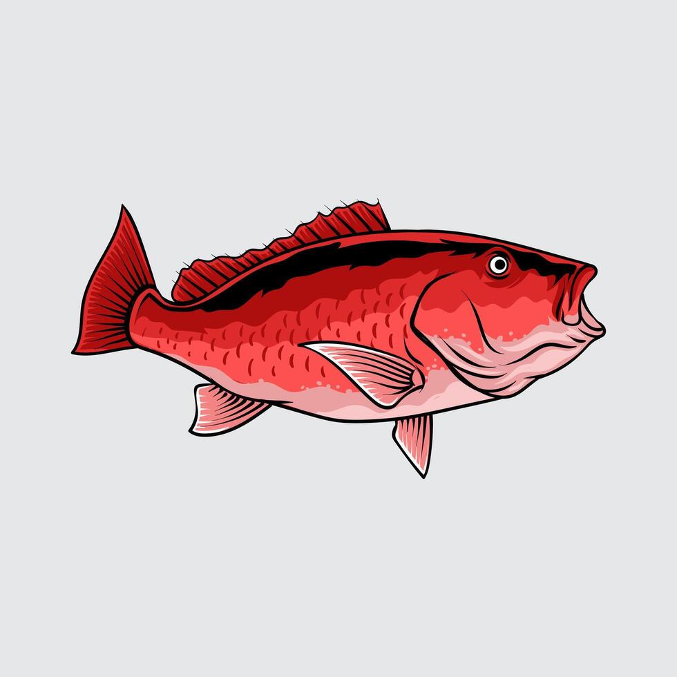 Red Snapper Fish isolated cartoon illustration with light background vector