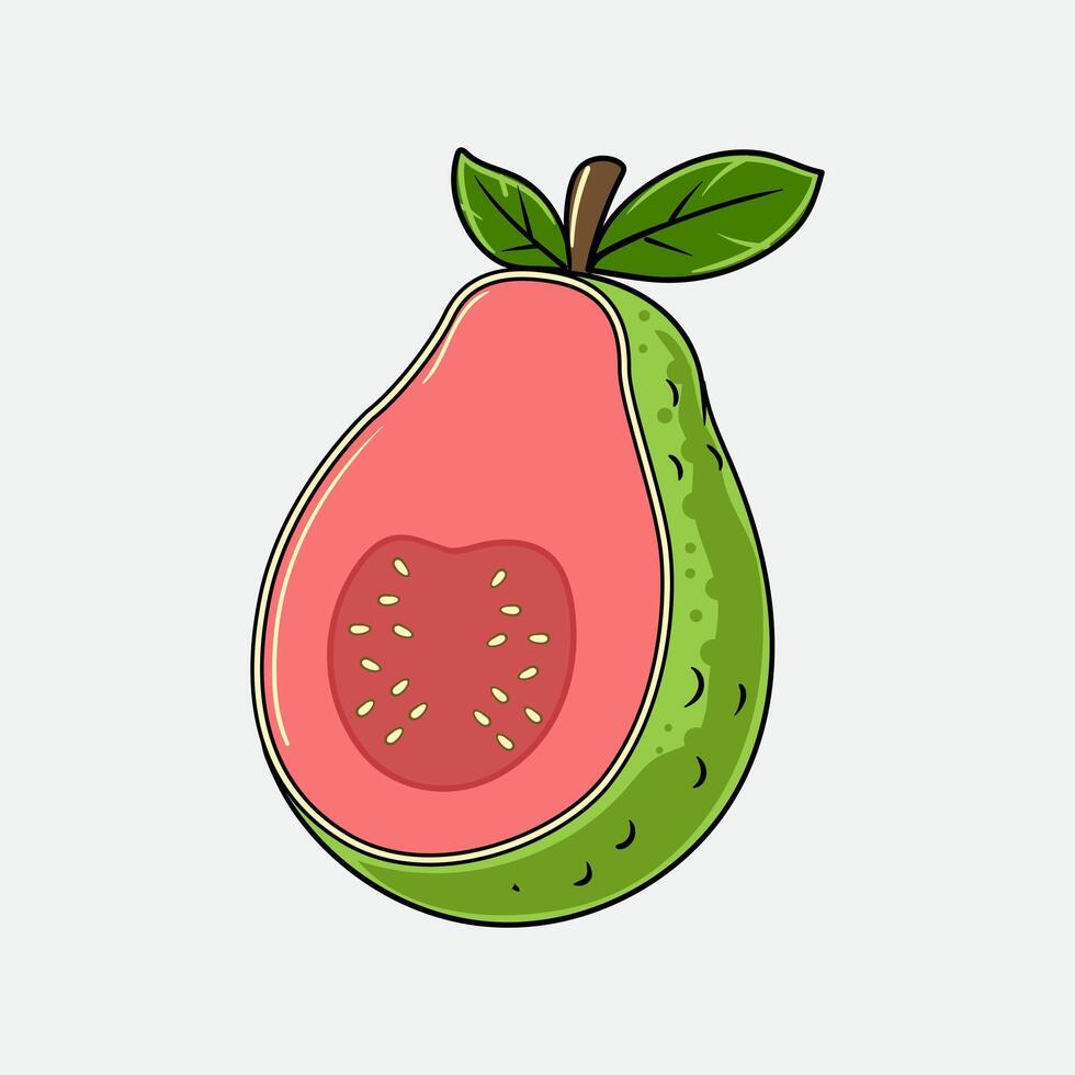 Guava Tropical Summer Fruit Illustration vector