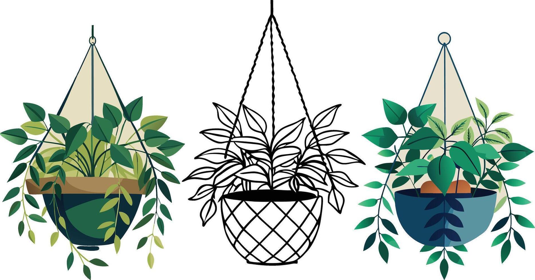 Hanging Plants A collection of illustrations vector