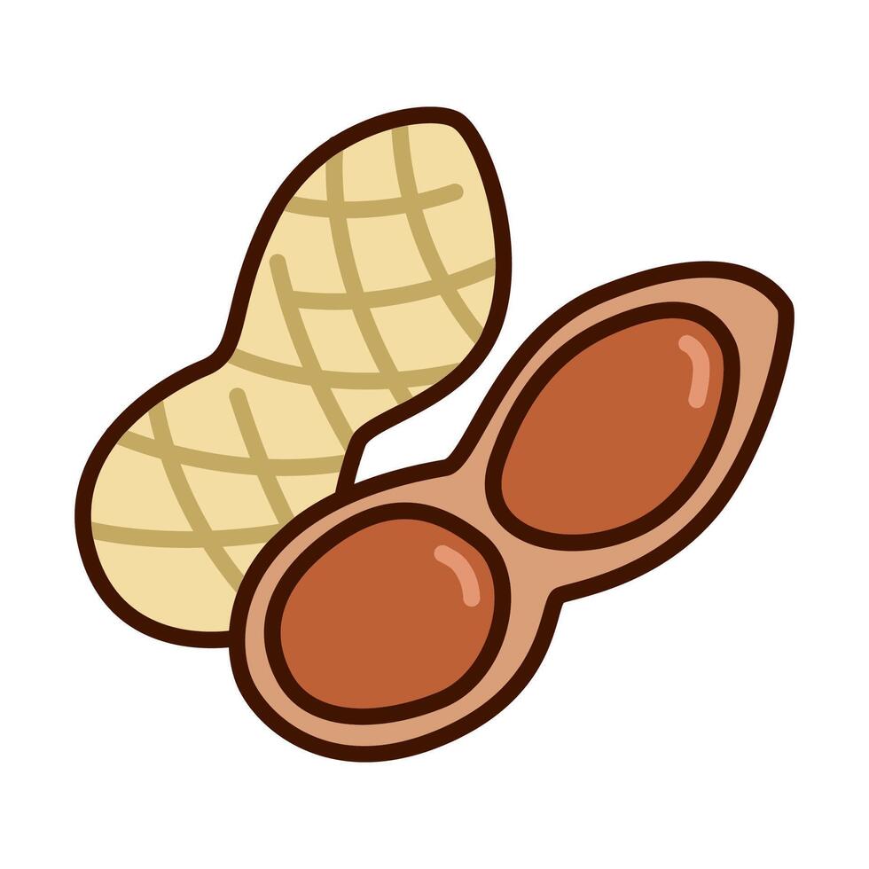 Color icon of fresh peanuts vegetable in minimal and clean design style. for logo, infographic, ads, mobile apps, UI, web design and print vector