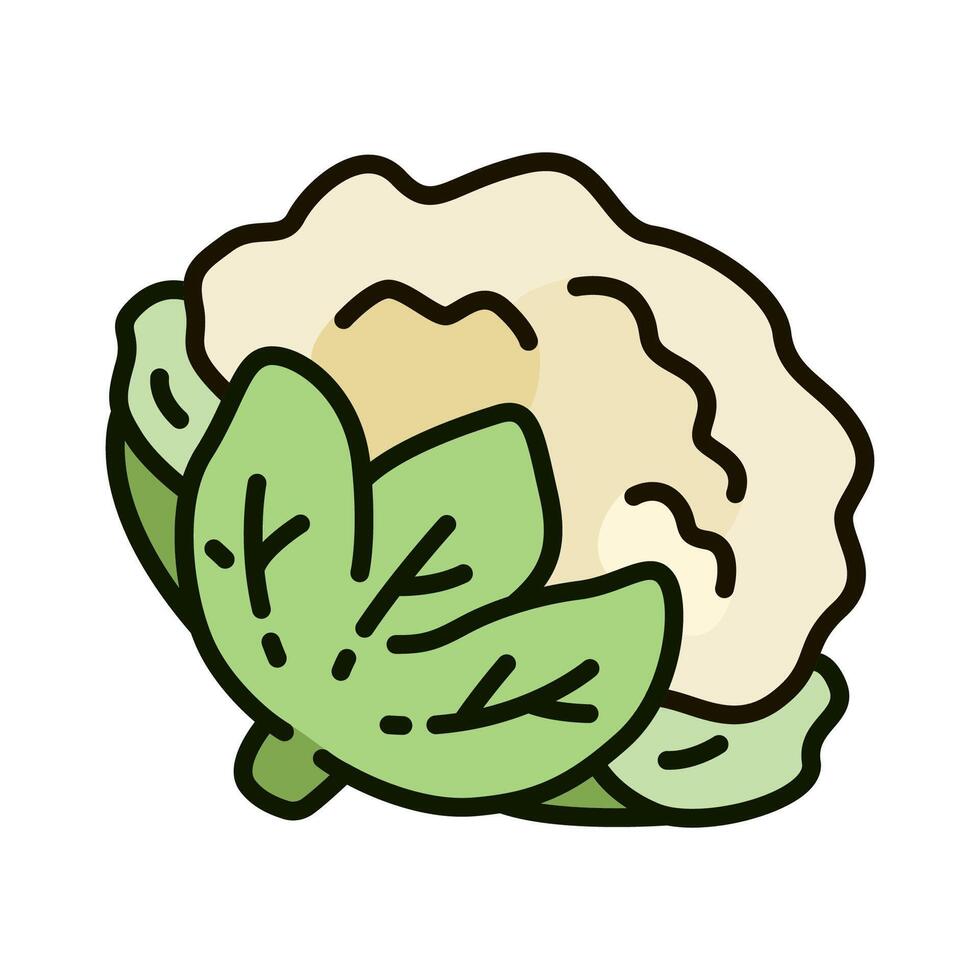 Color icon of fresh cauliflower vegetable in fresh and minimal design style. for mobile apps, logo, web design, print, ads, UI, and infographics vector