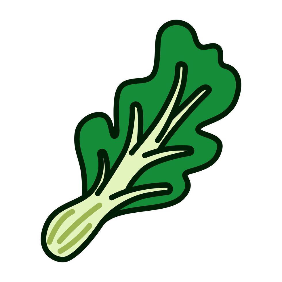 Color icon of fresh Chinese cabbage vegetable in simple and contemporary flat design. for infographics, logo, print, mobile apps, web, UI, and digital ads vector
