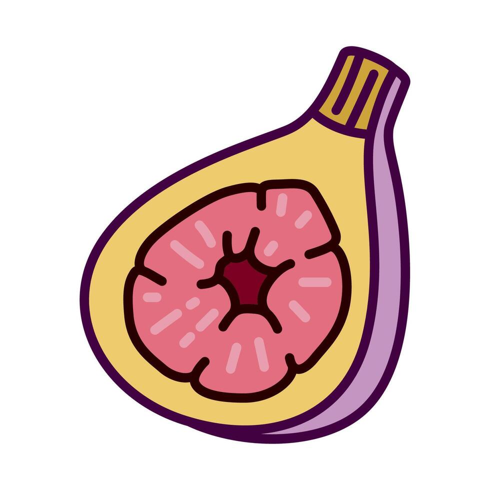 Color icon of ripe fig fruit in clean and modern flat illustration style. for logo, infographic, ads, print, UI, web design and mobile apps vector