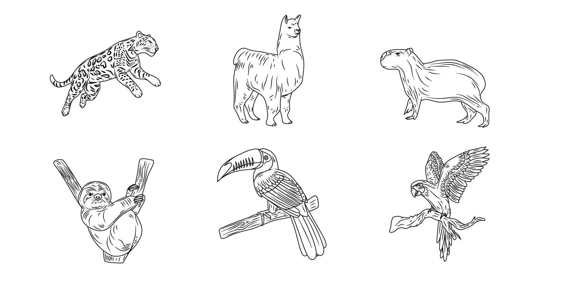 South america animals hand drawn set illustration vector