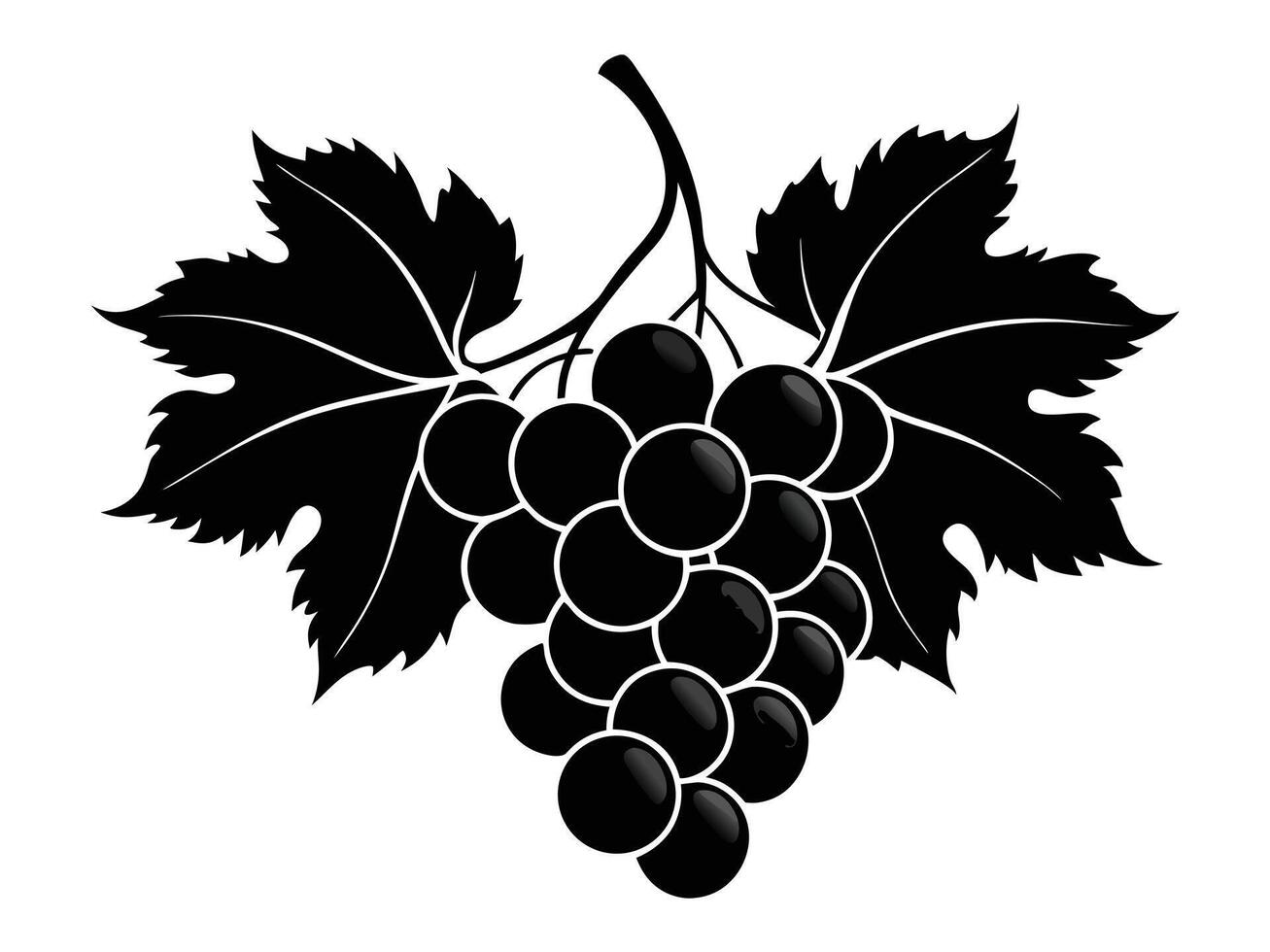 Black And White Grape Illustration vector