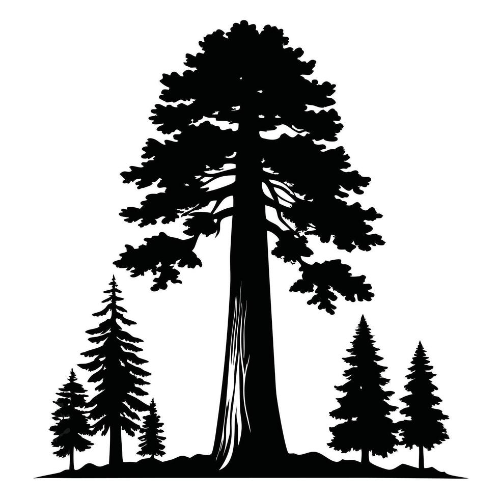 Sequoia Trees Silhouette Nature Landscape vector