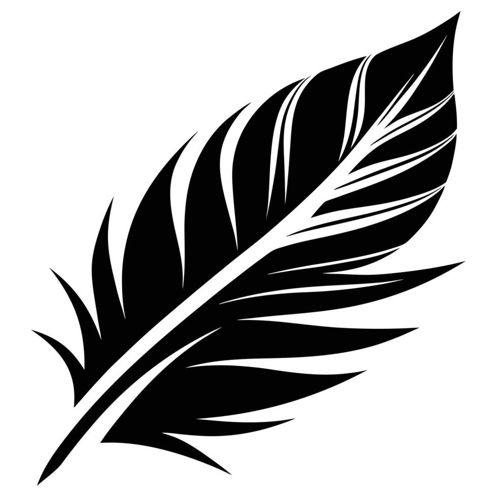 Black Quill Feather Illustration Isolated vector