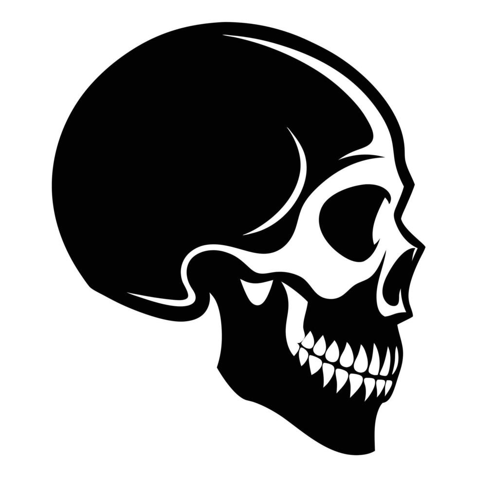 Black And White Skull Graphic vector