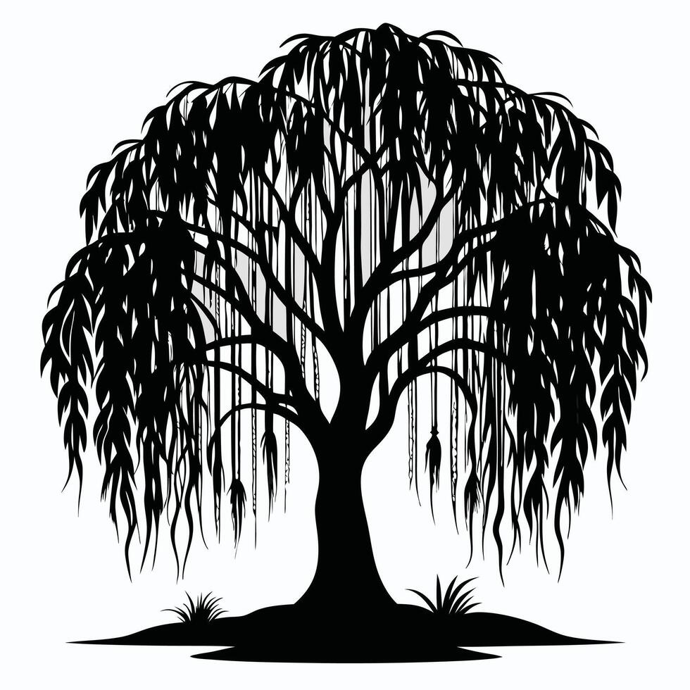 Silhouette Of A Weeping Willow Tree Art vector
