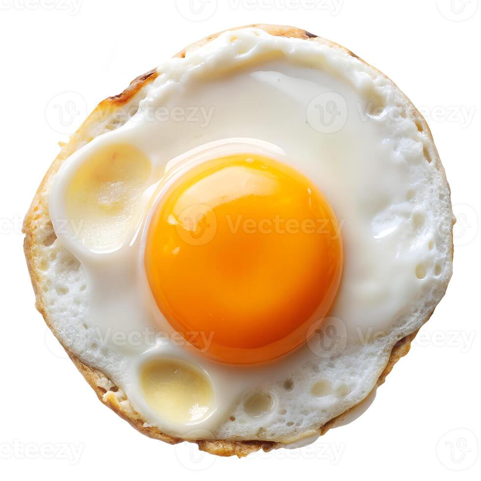 fried egg with yolk photo