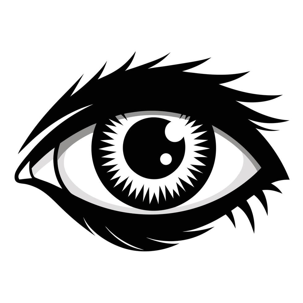 Stylish Black And White Eye vector