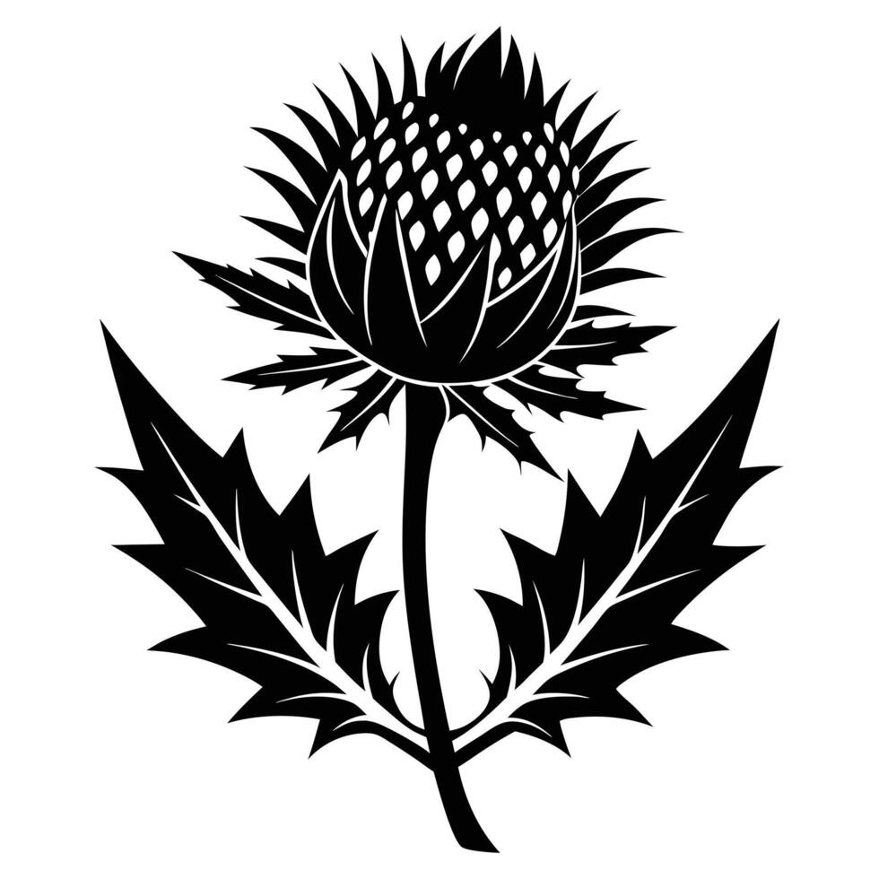 Thistle Flower Black And White vector