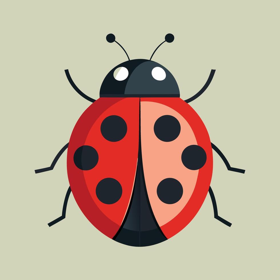 Cute Ladybug Illustration Bug Design vector