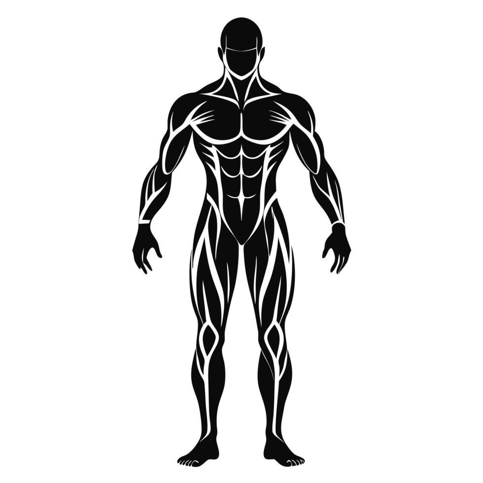 Muscular Man Bodybuilder Silhouette Illustration vector