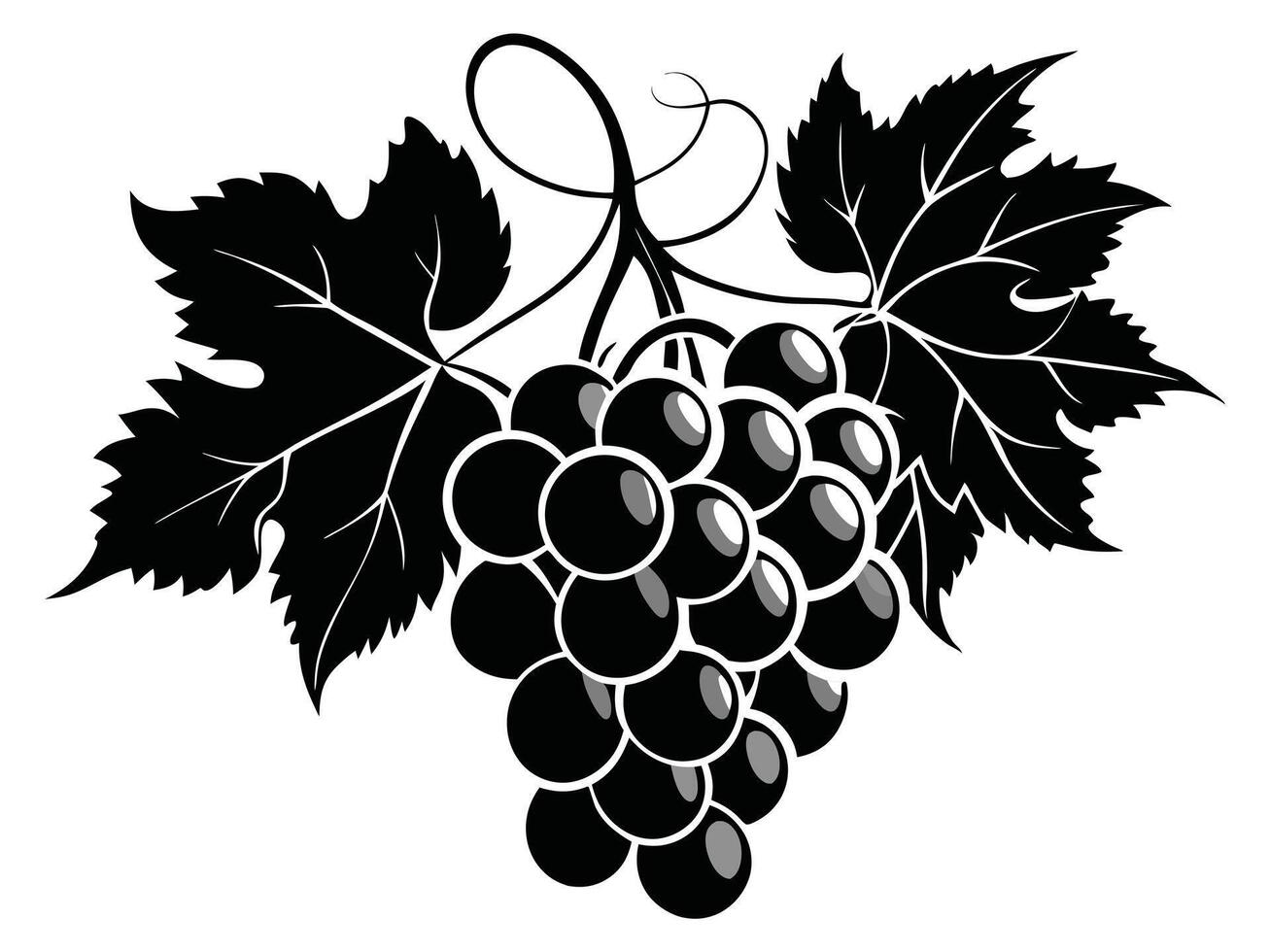 Black And White Grapes Illustration vector