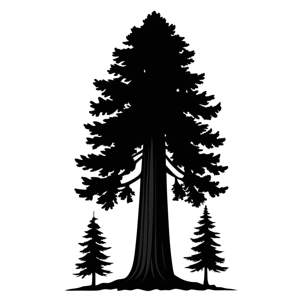Sequoia Tree Silhouette Illustration vector