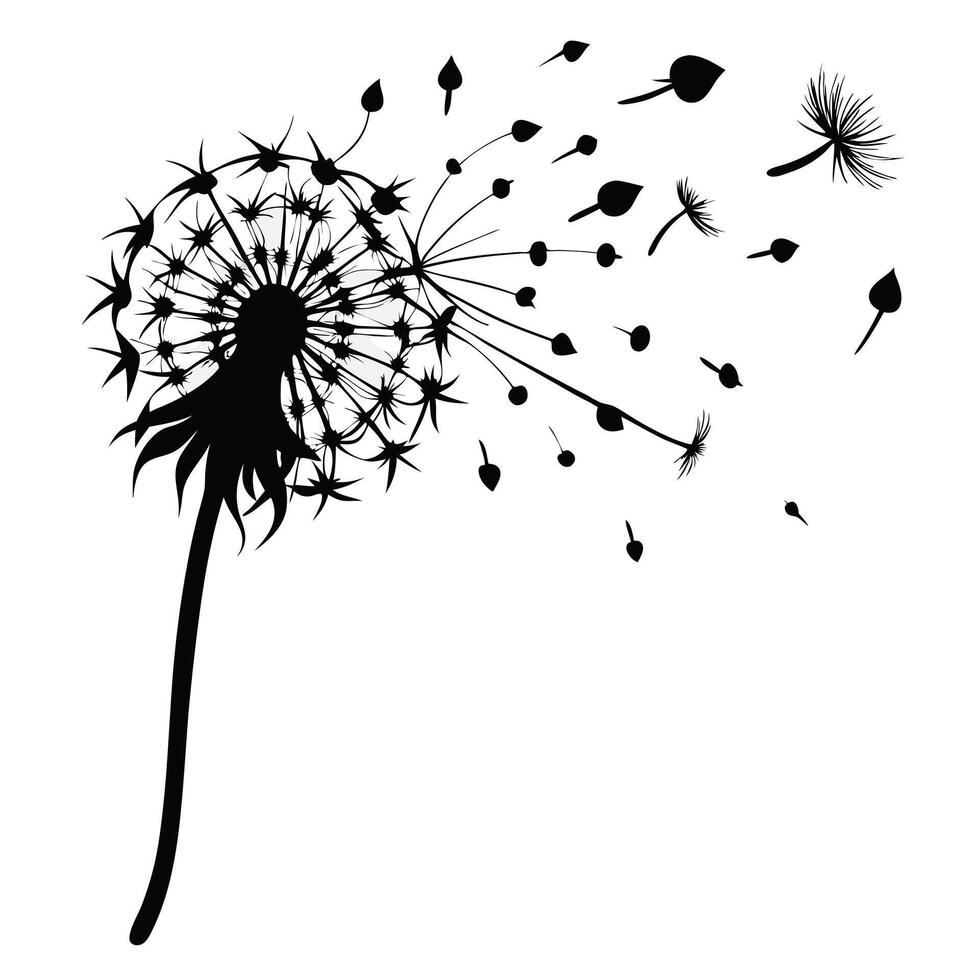Dandelion Silhouette With Flying Seeds vector