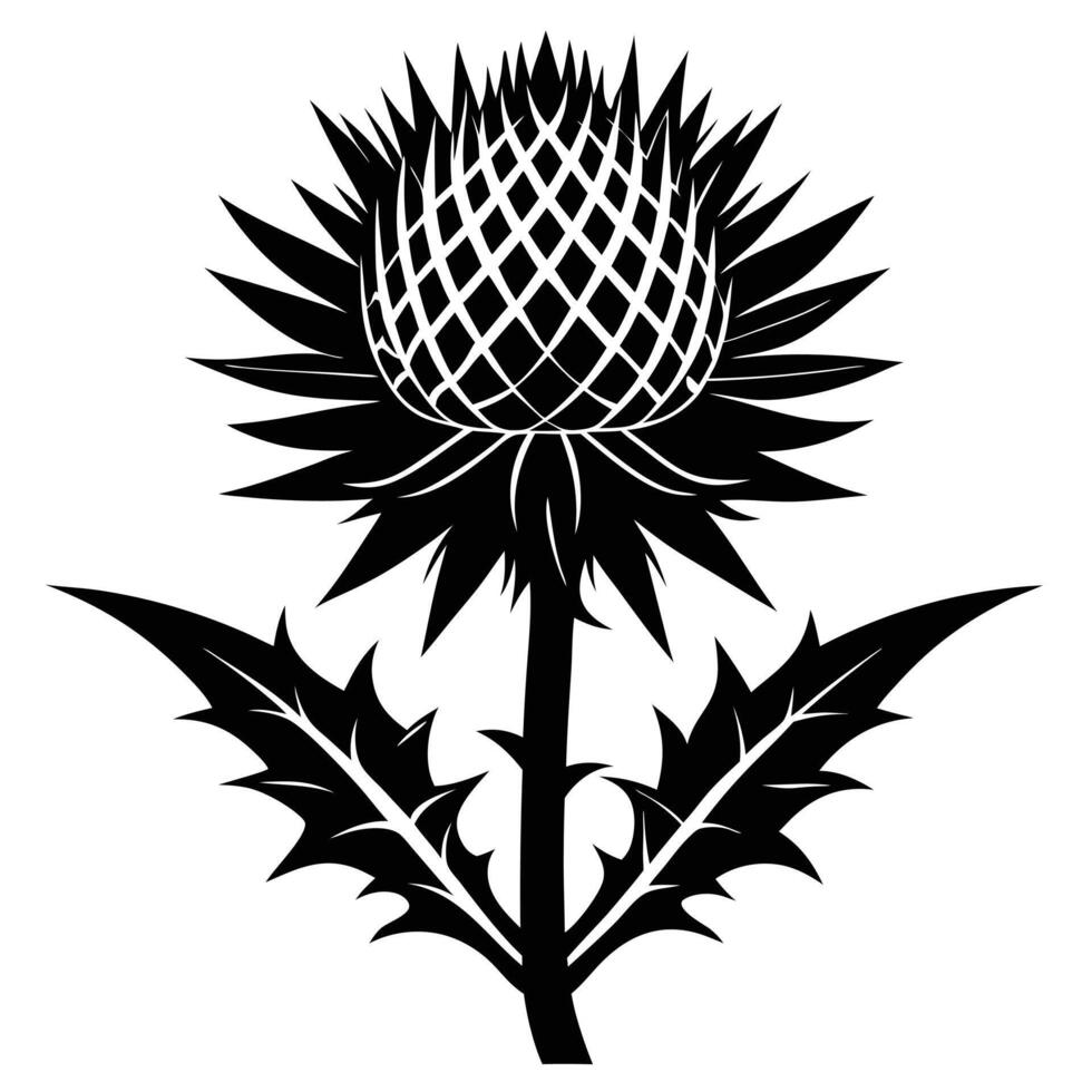 Black And White Thistle Illustration vector
