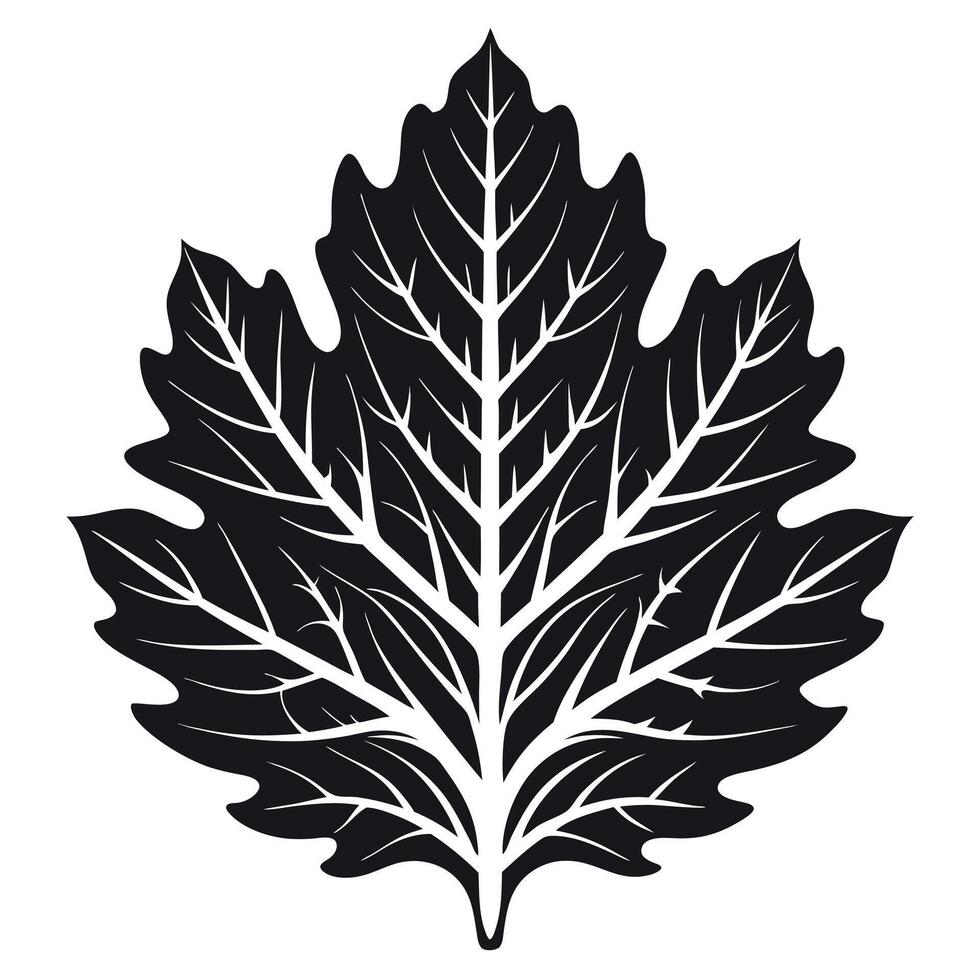 Simple Black And White Leaf Design vector