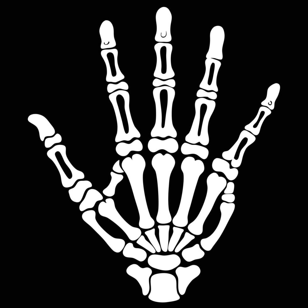 White Skeleton Hand On Black vector