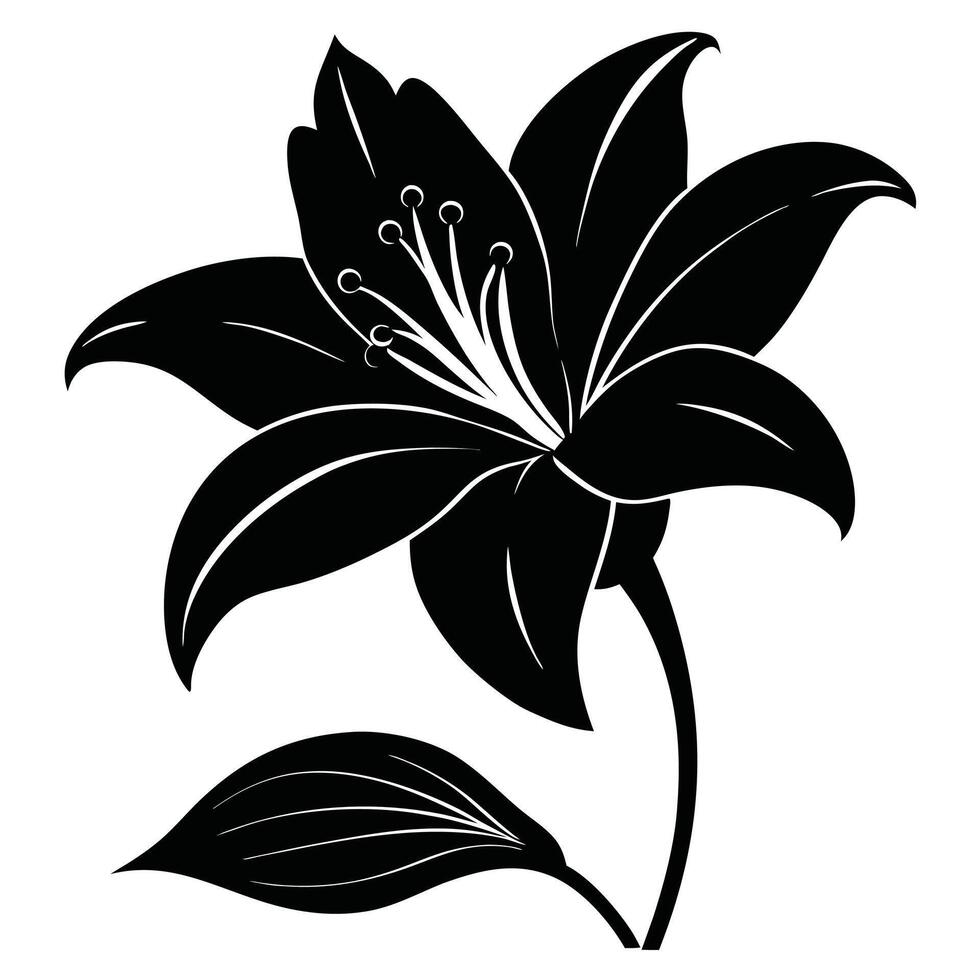 Black And White Lily Illustration vector