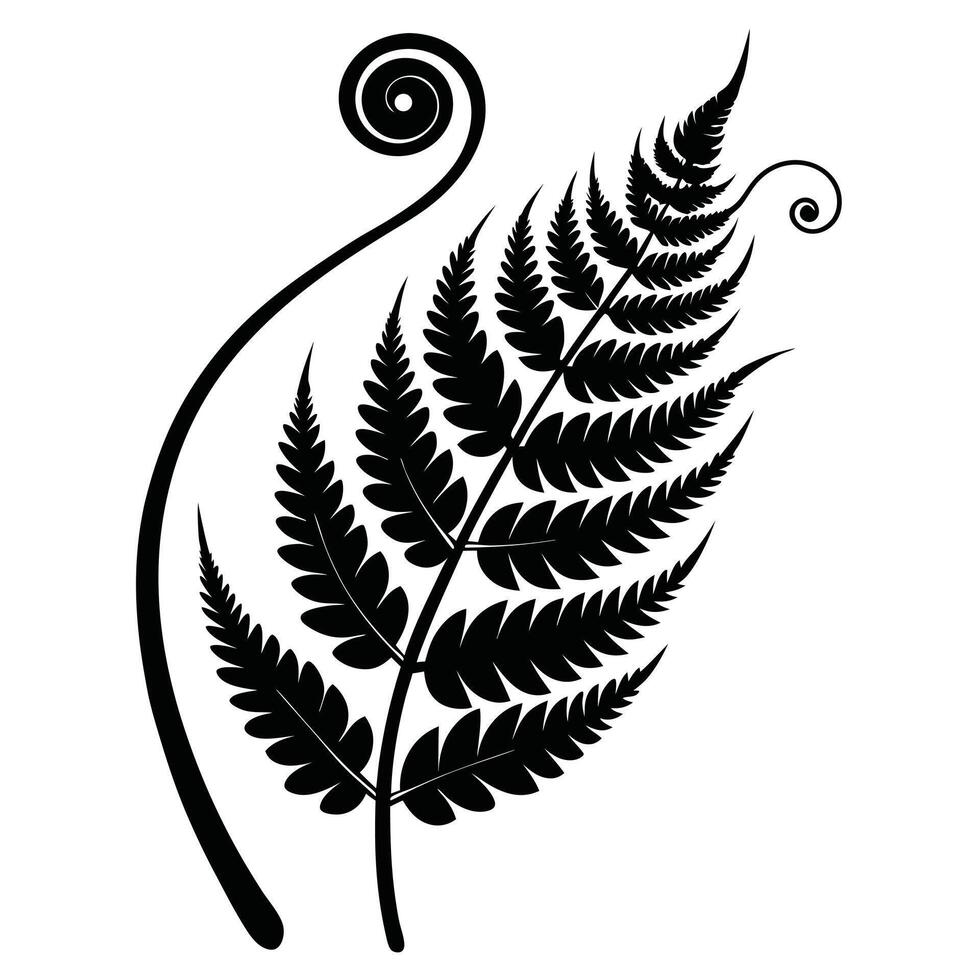 Black And White Fern Illustration Graphic vector