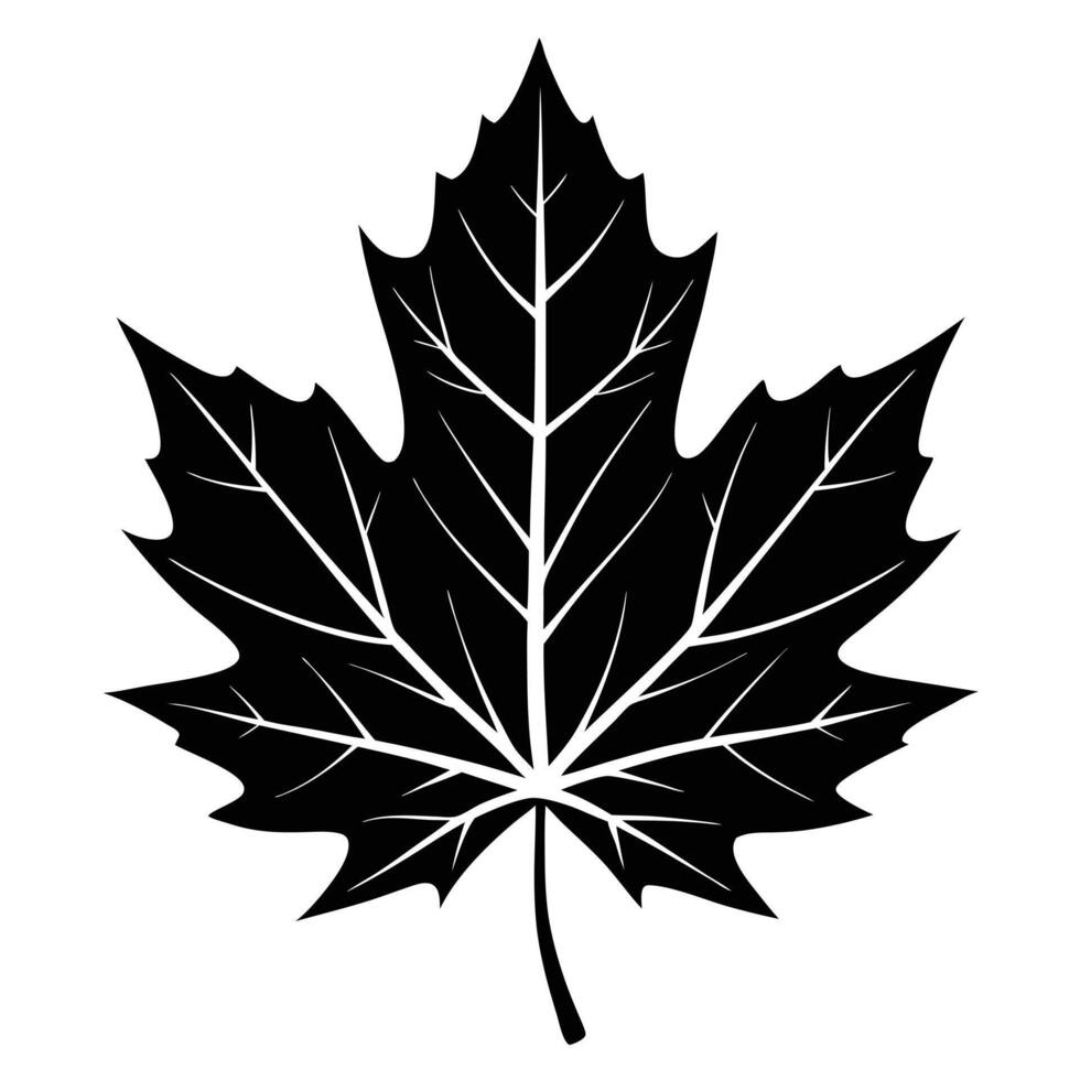Black And White Maple Leaf vector