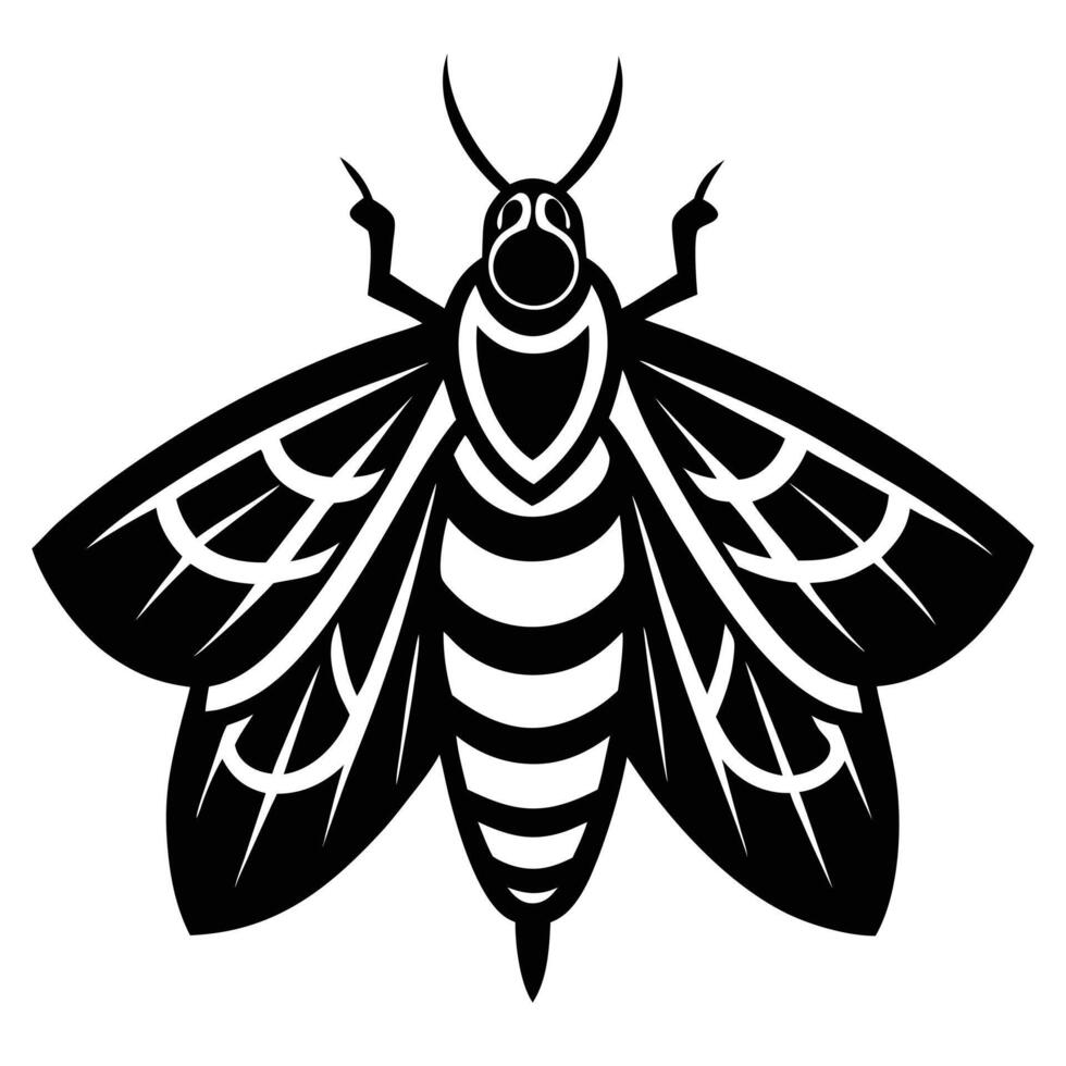 Moth Insect Art Black Silhouette vector
